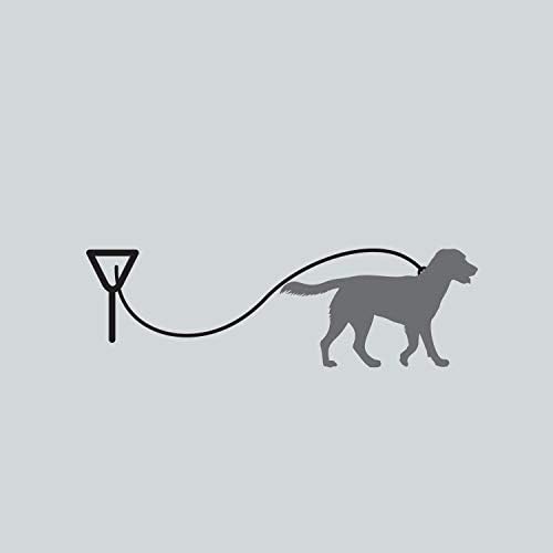 Four Paws Medium Weight Dog Tie Out Cable - Image 6
