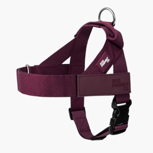 Dog Friendly Co. Dog Harness for Small Dogs by DogFriendly