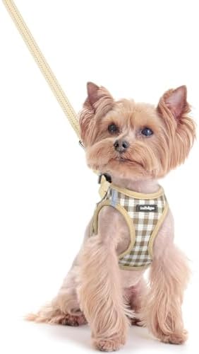 rabbitgoo Dog Harness Small Sized and Leash Set, Step-in Puppy Pet Vest by rabbitgoo