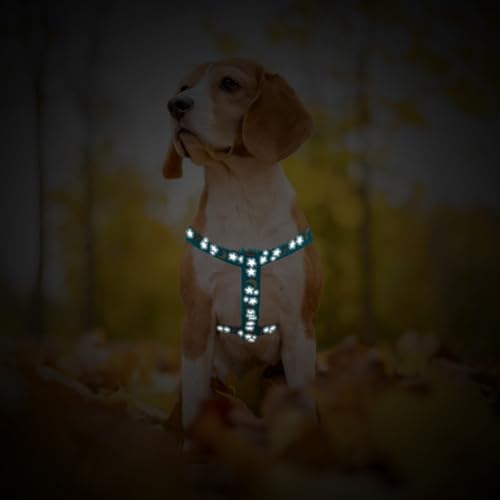 PUPTECK No Pull Dog Harness Small Sized Step-in Adjustable Puppy Vest - Image 6