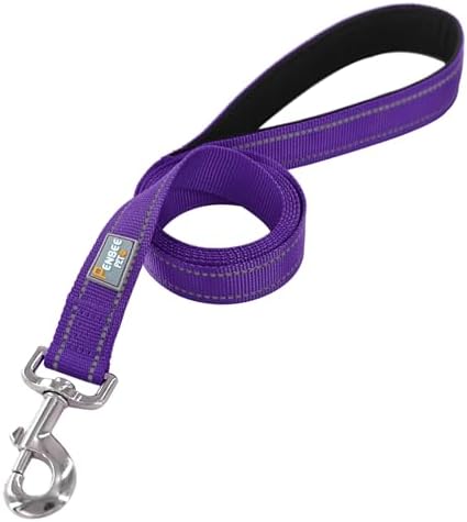 6 FT Basic Dog Leash for Small Dogs - Image 2