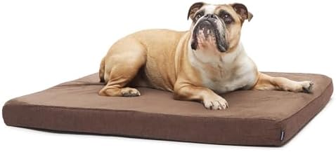 BarkBox Orthopedic Dog Bed by BARK