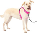 PetSafe Easy Walk Comfort No Pull Dog Harness by PetSafe