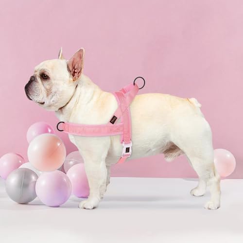 Didog No Pull Dog Harness with Breathable Mesh Padded, Quick Fit & Easy on Dog - Image 2