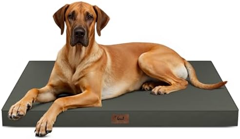 Jumbo Waterproof Orthopedic Dog Bed by TailStories