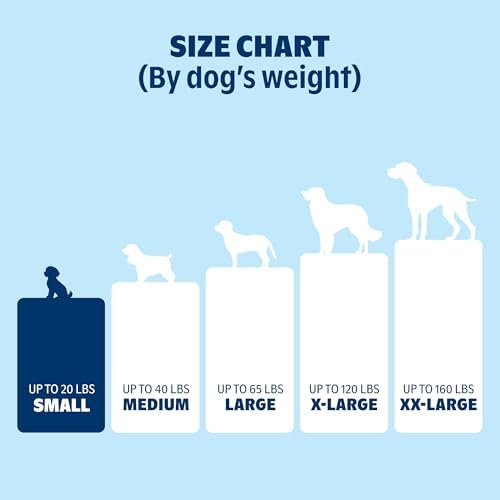 BarkBox Orthopedic Dog Bed - Image 4