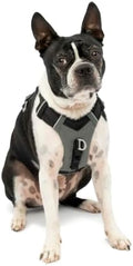 Kurgo Journey Air Dog Harness by Kurgo