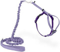 PetSafe Come with Me Kitty Harness and Bungee Cat Leash by PetSafe