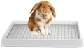 PODOO Rabbit Litter Box – Training Potty Tray by PODOO