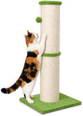 PAWSCRAT 32-Inch Tall Cat Scratching Post, 5.5-Inch Diameter by PAWSCRAT