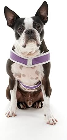 Gooby Simple Step-in III Dog Harness - Image 3