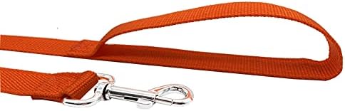 Nylon Dog Training Leash, Traction Rope, 4/5/6 Feet Long, 3/4 Inch 1 Inch Wide - Image 3