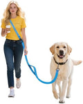 Hands Free Dog Leash, Galaxy Reflective, Crossbody Dog Leash by JCHOUSEPetSupplies