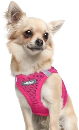 rabbitgoo Step-in Small Dog Harness, Puppy Vest by rabbitgoo