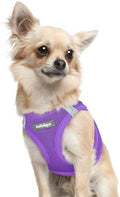 rabbitgoo Step-in Small Dog Harness, Puppy Vest by rabbitgoo