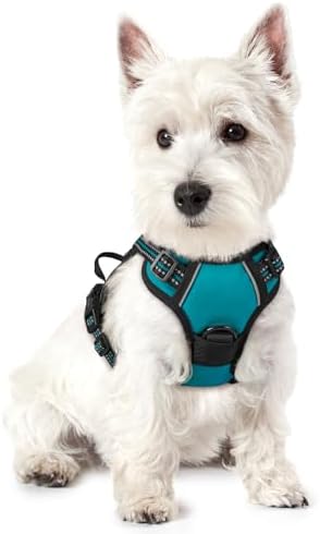 rabbitgoo Dog Harness No Pull by rabbitgoo