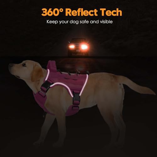 Heavy-Duty Tactical Dog Harness - Image 5
