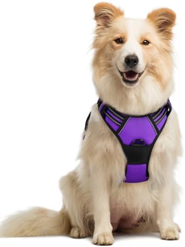 rabbitgoo Dog Harness, No Pull Medium Sized by rabbitgoo