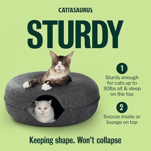 Cattasaurus Peekaboo Cat Cave Donut - Image 5