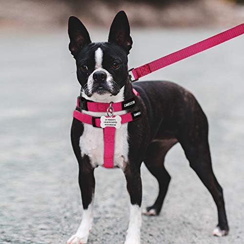 No Pull Dog Harness, Leash & Collar Set, Adjustable Step-in Vest - Image 5