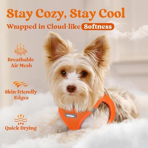 rabbitgoo Step-in Small Dog Harness, Puppy Vest - Image 3
