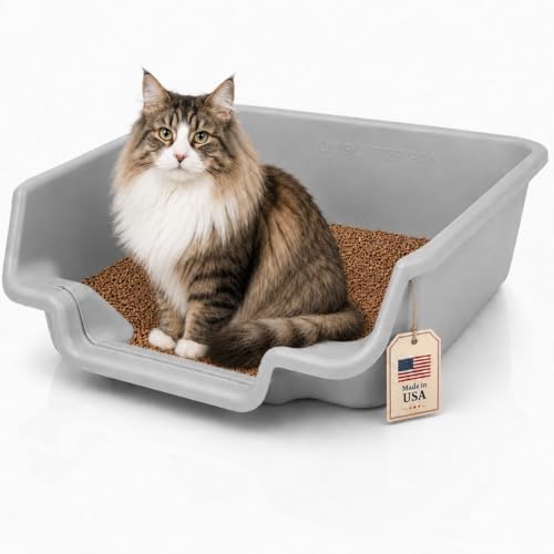 KittyGoHere Senior Cat Litter Box, Low Entry Cat Litter Pan by NE14pets