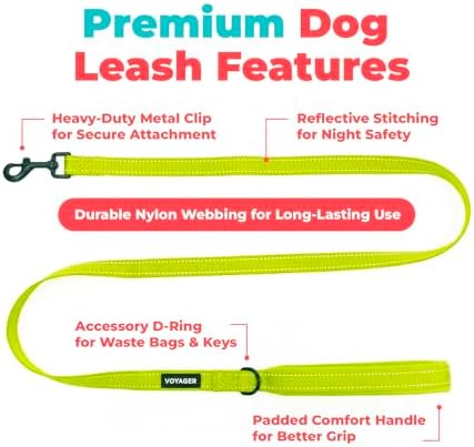 Best Pet Supplies Voyager Nylon Dog Leash - Image 2