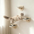 TIMHAKA 3 Pcs Cat Wall Shelves, Cat Wall Steps by TIMHAKA