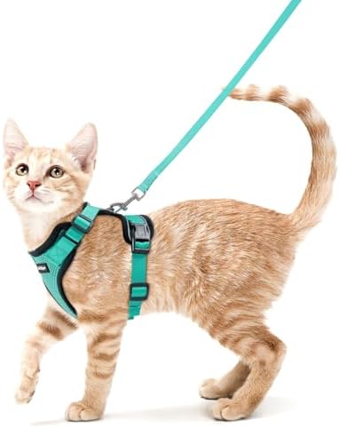 rabbitgoo Cat Harness and Leash Set, Escape Proof Vest by rabbitgoo