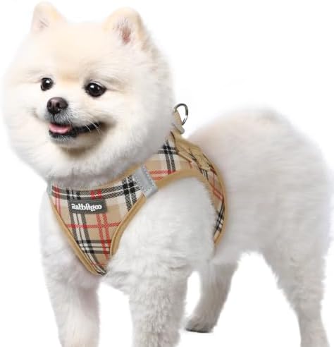 rabbitgoo Step-in Small Dog Harness, Puppy Vest by rabbitgoo