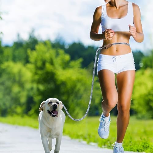 Mile High Life Hands Free Dog Leash, Crossbody Waist Leash - Image 2
