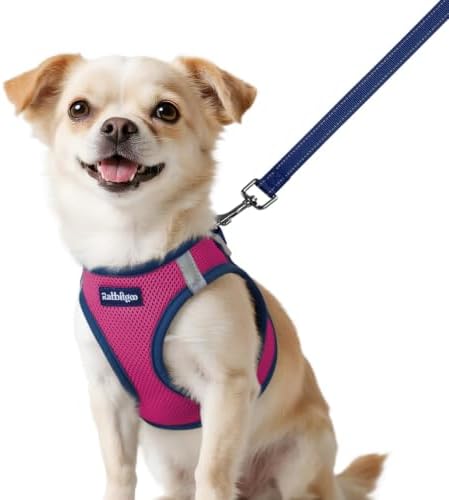 rabbitgoo Dog Harness Small Sized and Leash Set, Step in Soft Vest by rabbitgoo