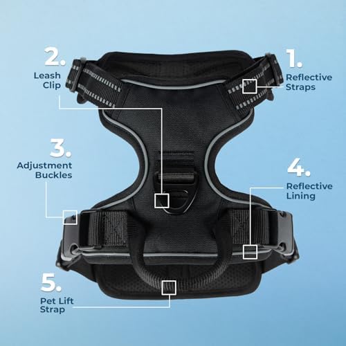 Voyager Dog Harness Dual Leash Attachment No-Pull Control Adjustable Soft but - Image 6