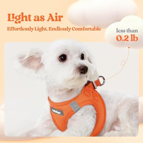 rabbitgoo Dog Harness Small Sized and Leash Set, Step-in Puppy Pet Vest - Image 3