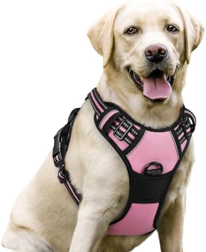 rabbitgoo Dog Harness, No Pull for Large Dogs by rabbitgoo