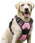 rabbitgoo Dog Harness, No Pull for Large Dogs by rabbitgoo