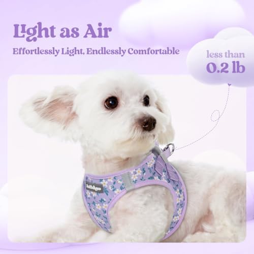 rabbitgoo Dog Harness Small Sized and Leash Set, Step-in Puppy Pet Vest - Image 3