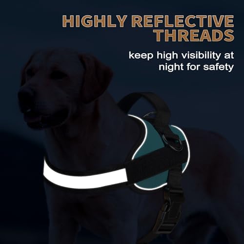 Haapaw Essential Dog Harness, No Pull Pet Vest - Image 4