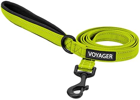 Best Pet Supplies Voyager Nylon Dog Leash by BestPetSuppliesLLC