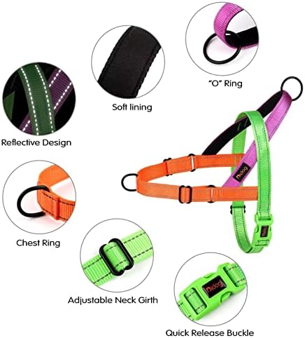 Didog No Pull Dog Harness for Small Dogs, Soft Padded Handle - Image 2