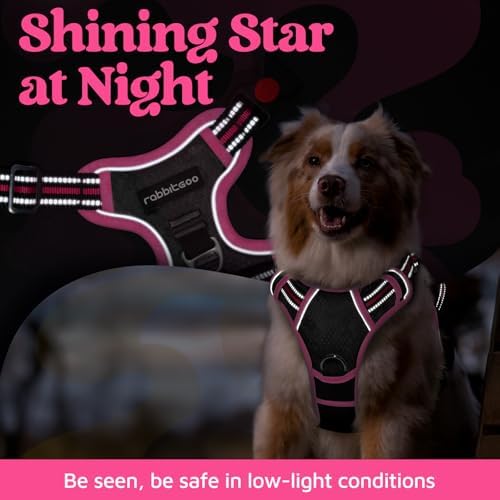 rabbitgoo Dog Harness for Large, No Pull 3 Buckles Easy On & Off - Image 6