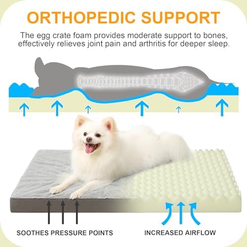 KSIIA Orthopedic Dog Bed for Small Dogs - Image 2
