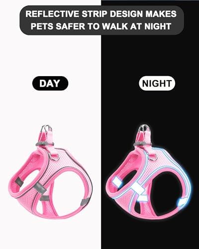 M Blue Soft Mesh Dog Harness and Leash Set, No Escape Puppy Harnesses - Image 3