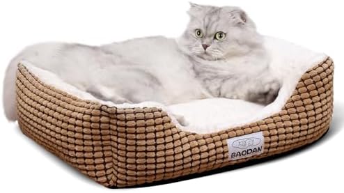 Small Dog Bed for Small Dogs, Cat Beds for Indoor Cats Washable, Rectangle Dog by Baodan