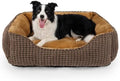 MIXJOY Large Dog Bed for Large Medium Small Dogs, Rectangle Washable Orthopedic by MIXJOY