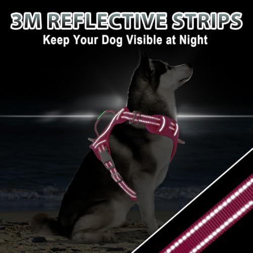 BARKBAY No Pull Dog Harness 3 Buckles Large Reflective Dog Harness - Image 6