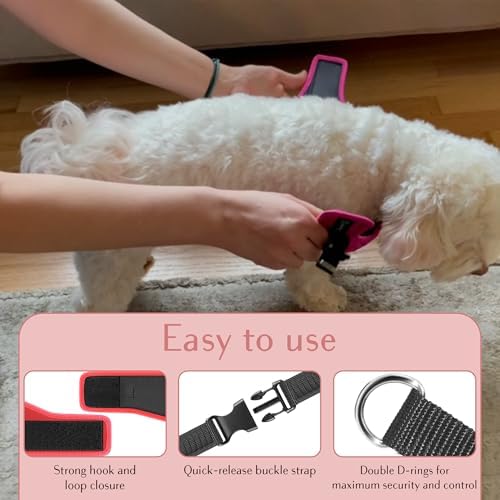 Comfort fit Step-in Dog & Puppy Harness - Image 3