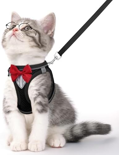 Cat Vest Harness and Leash Set, Escape Proof Kitten Harness Black M by NCMAMA