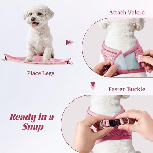 No Pull Dog Puppy Harness and Leash Set Reflective Mesh Vest XX-Small - Image 4