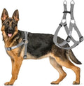 AKC Step-in Dog Harness – Adjustable Solid Color Vest by AmericanKennelClub